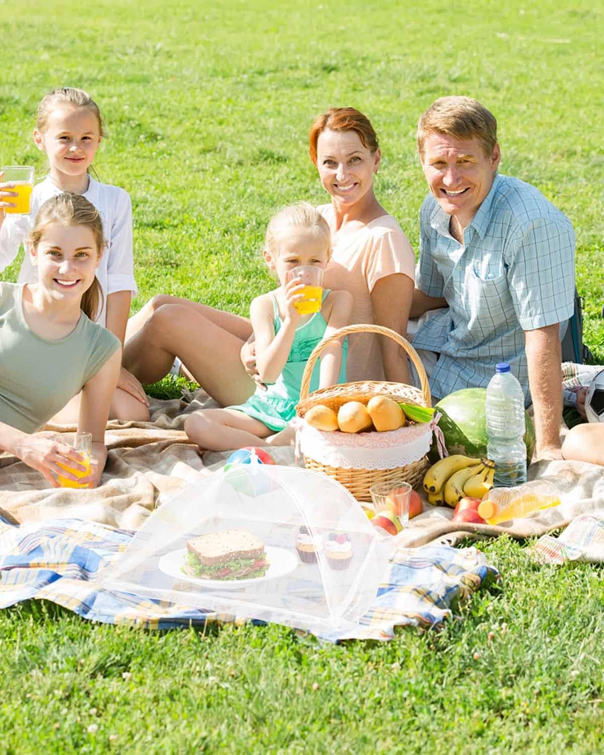 Large Food Cover,6 Pack Mesh Food Tent,17"x17",White Nylon Covers,Pop-Up Umbrella Screen Tents,Patio Net for Outdoor Camping, Picnics, Parties,BBQ,Collapsible and Reusable