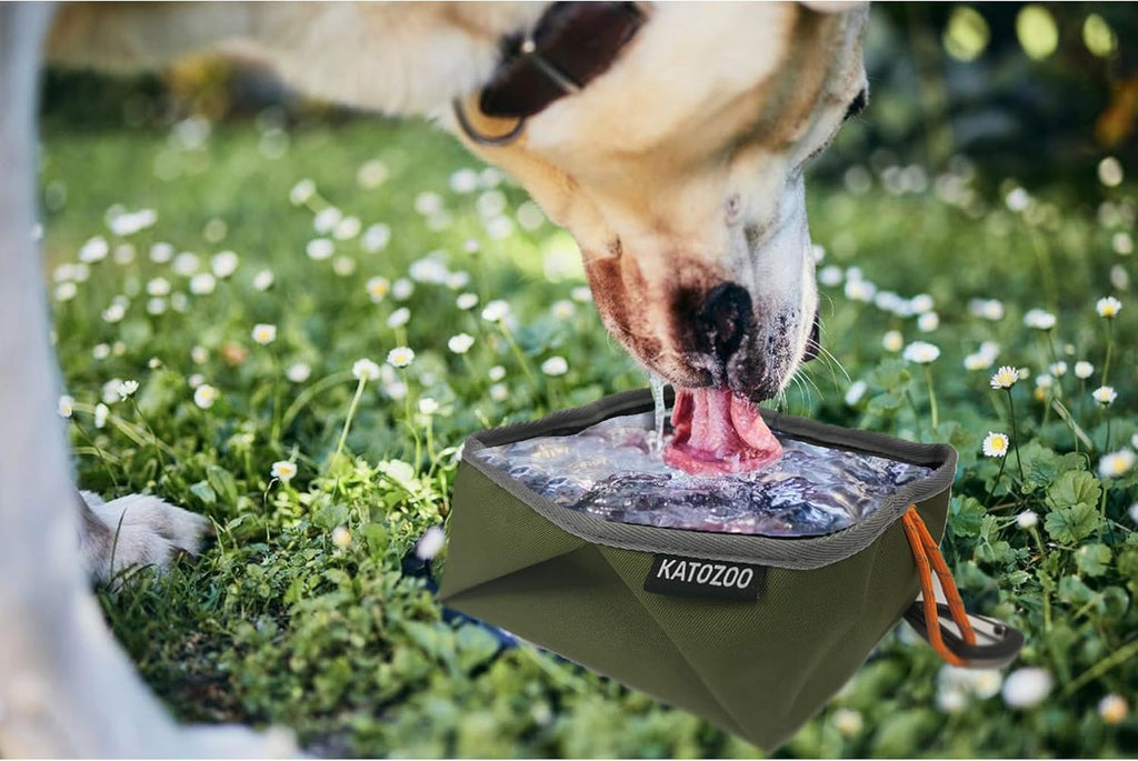 Travel Dog Bowls, 2 Pack 60oz Collapsible Dog Bowls for Food and Water